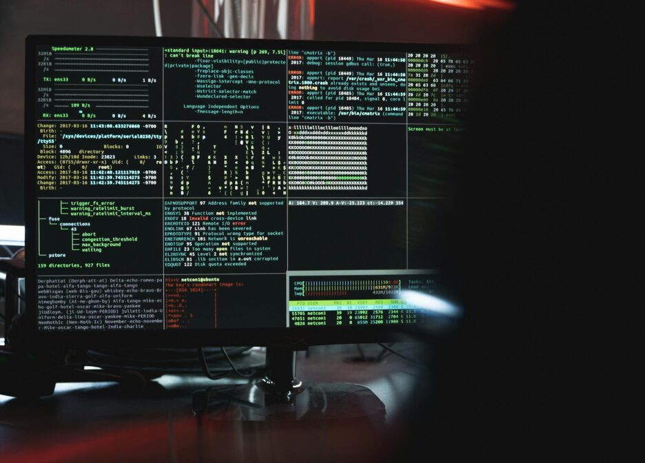 Information Technology (IT) & Web Development